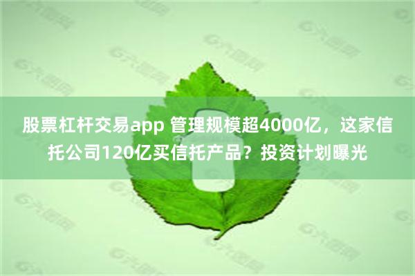 股票杠杆交易app 管理规模超4000亿，这家信托公司120亿买信托产品？投资计划曝光