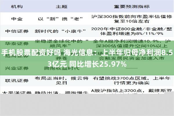 手机股票配资好吗 海光信息：上半年归母净利润8.53亿元 同比增长25.97%