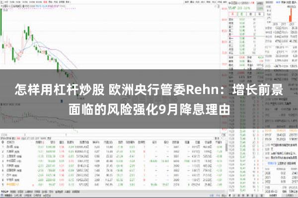 怎样用杠杆炒股 欧洲央行管委Rehn：增长前景面临的风险强化9月降息理由