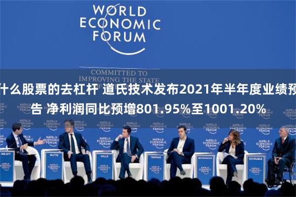 什么股票的去杠杆 道氏技术发布2021年半年度业绩预告 净利润同比预增801.95%至1001.20%