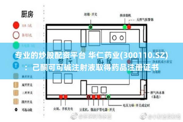 专业的炒股配资平台 华仁药业(300110.SZ)：己酮可可碱注射液取得药品注册证书