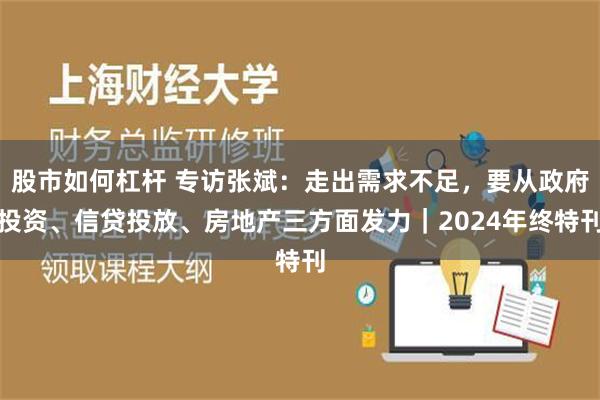 股市如何杠杆 专访张斌：走出需求不足，要从政府投资、信贷投放、房地产三方面发力｜2024年终特刊